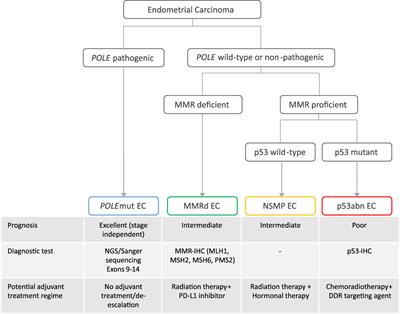 The evolving role of morphology in endometrial cancer diagnostics: From histopathology and molecular testing towards integrative data analysis by deep learning